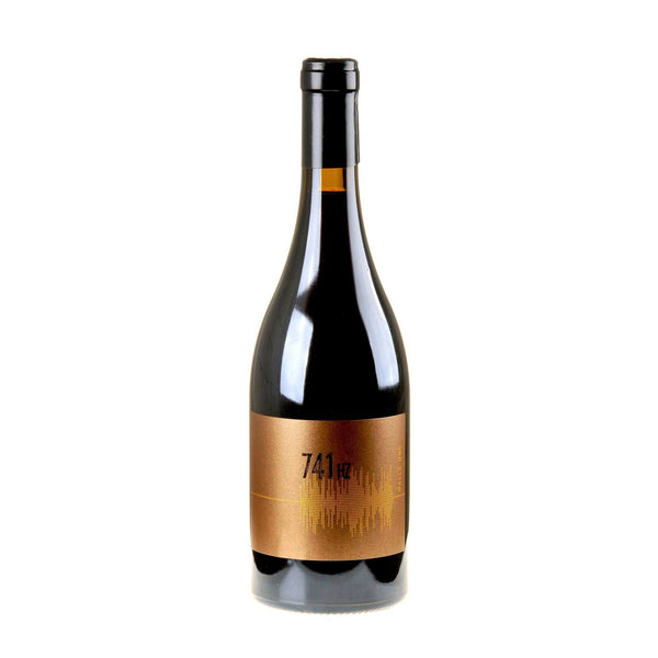 Dalle Ore Pinot Nero 741Hz Bio 2017 - Bottle Hero