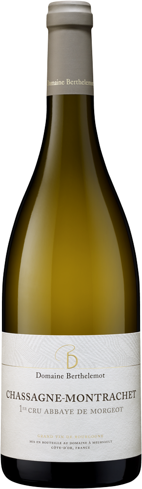 Domaine Berthelemot, Chassagne-Montrachet 1. Cru Abbaye de Morgeot, 2024 - Bottle Hero