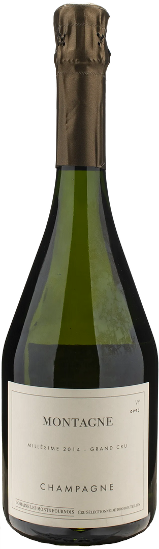 Domaine Les Monts Fournois Champagne Grand Cru Montagne Verzy Extra Brut 2014 - Bottle Hero