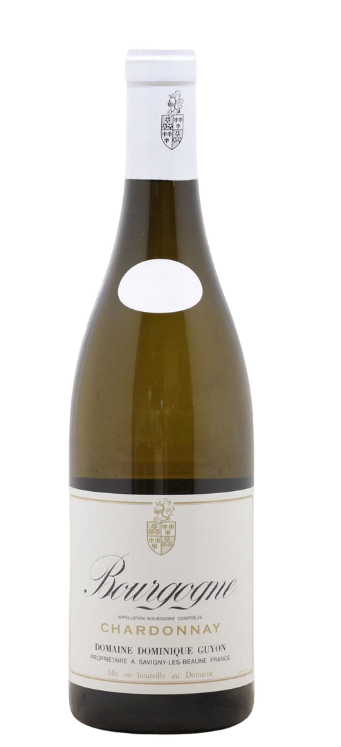 Domaine Dominique Guyon, Bourgogne Blanc, 2023 - Bottle Hero