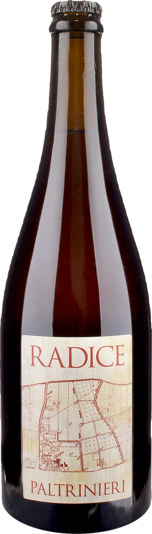 Paltrinieri Lambrusco Radice 2025 - Bottle Hero