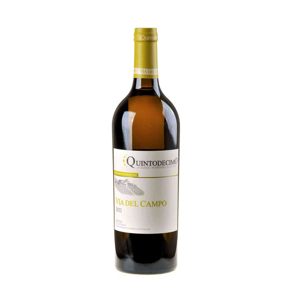 Quintodecimo Falanghina Via Del Campo 2022 - Bottle Hero