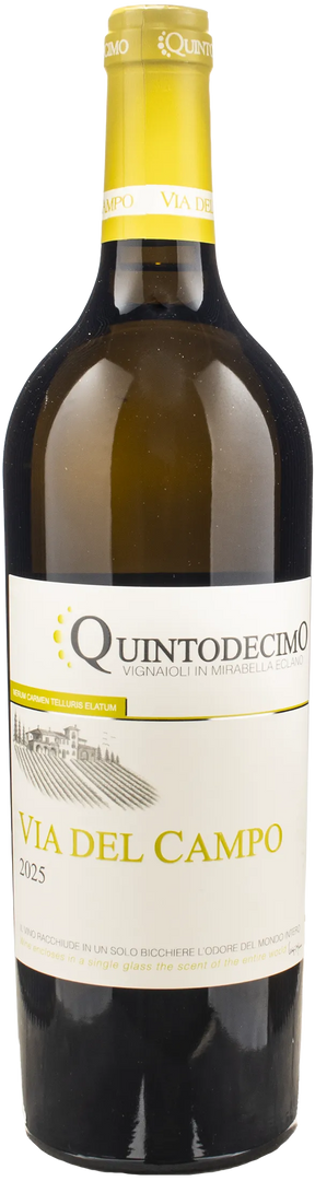 Quintodecimo Irpinia Falanghina Via del Campo 2025 - Bottle Hero