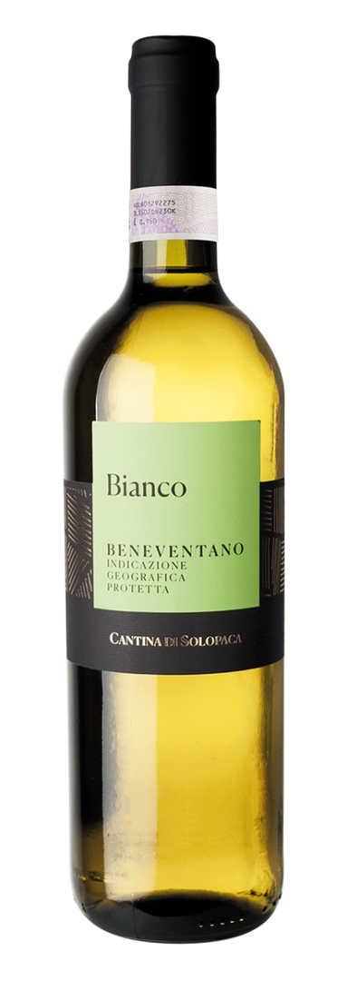 Cantina di Solopaca, Beneventano nvt NV White - Bottle Hero