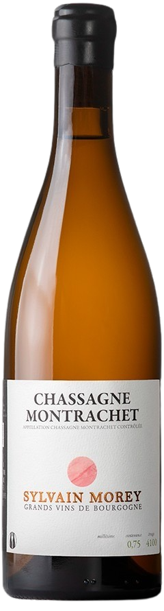 Sylvain Morey, Chassagne-Montrachet Blanc, 2024 - Bottle Hero